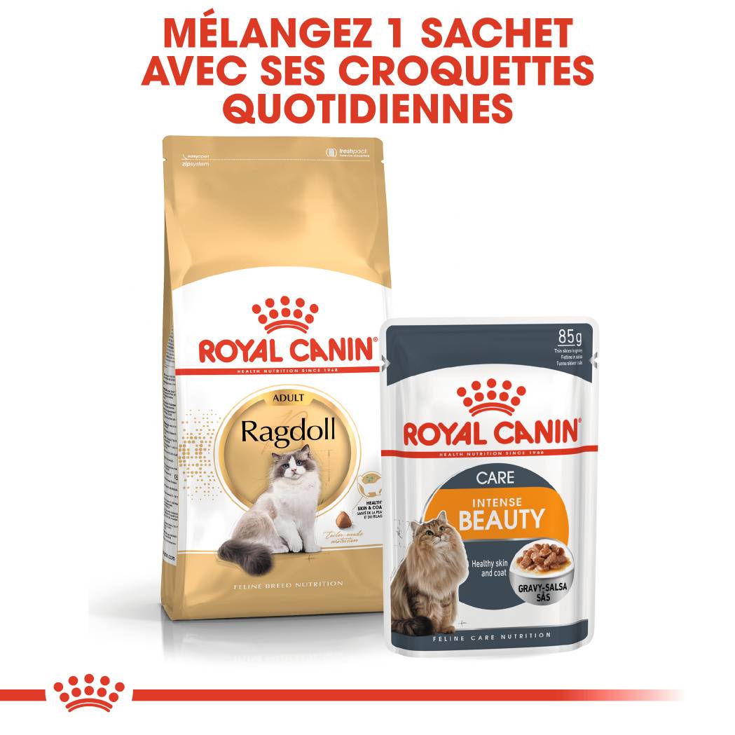 Royal Canin - Croquettes chat Ragdoll adulte 2kg – ROYAL CANIN - Image 5