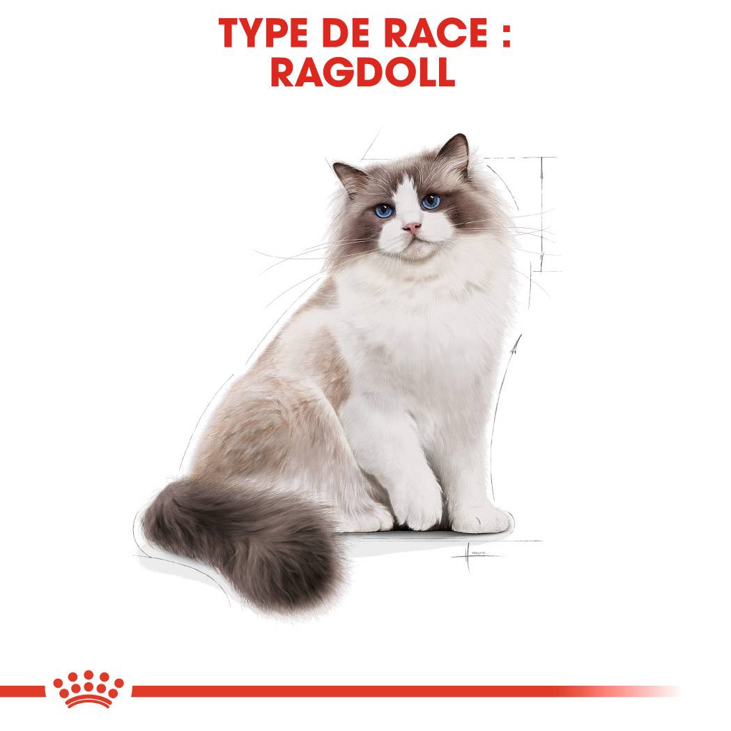 Royal Canin - Croquettes chat Ragdoll adulte 2kg – ROYAL CANIN - Image 7