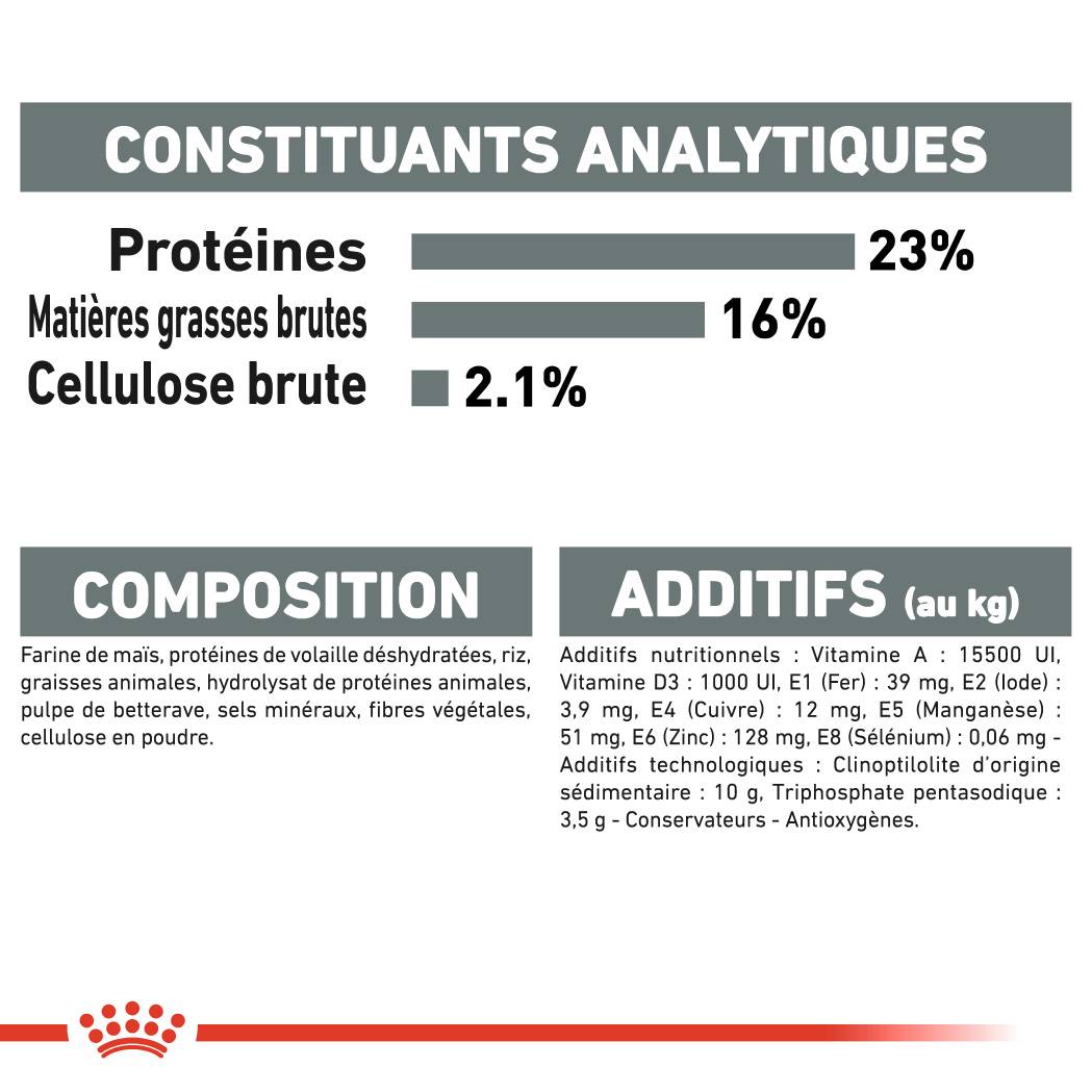 Royal Canin - Royal Canin - Croquettes pour chien Mini Dental Care 8 kg - Image 5