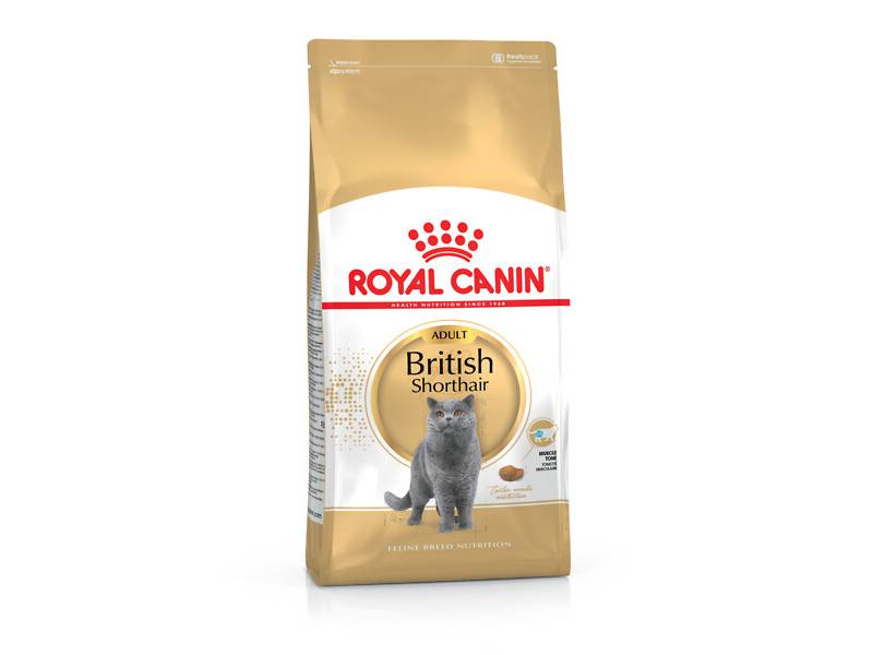 Royal Canin - Croquettes Chat Adulte British Shorthair 4kg ROYAL CANIN - Image 1