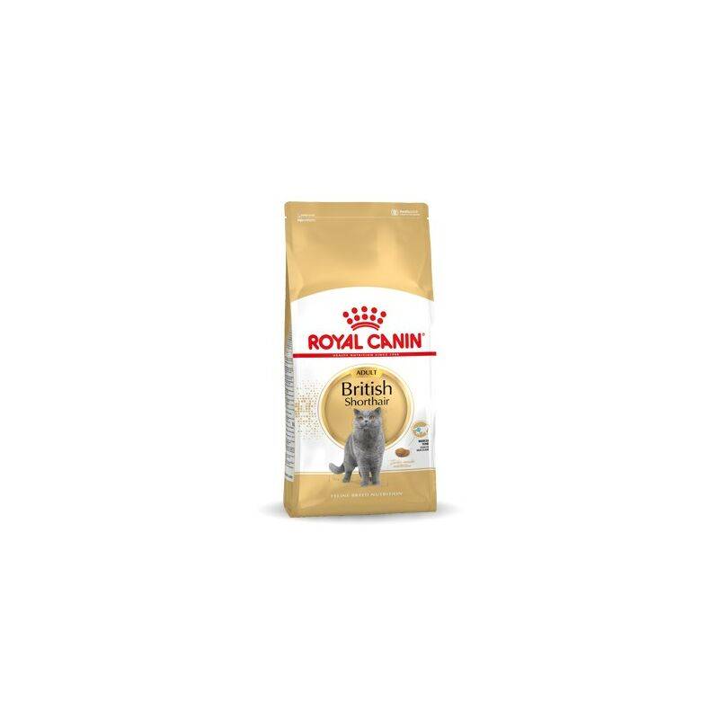 Royal Canin - Croquettes Chat Adulte British Shorthair 4kg ROYAL CANIN - Image 3
