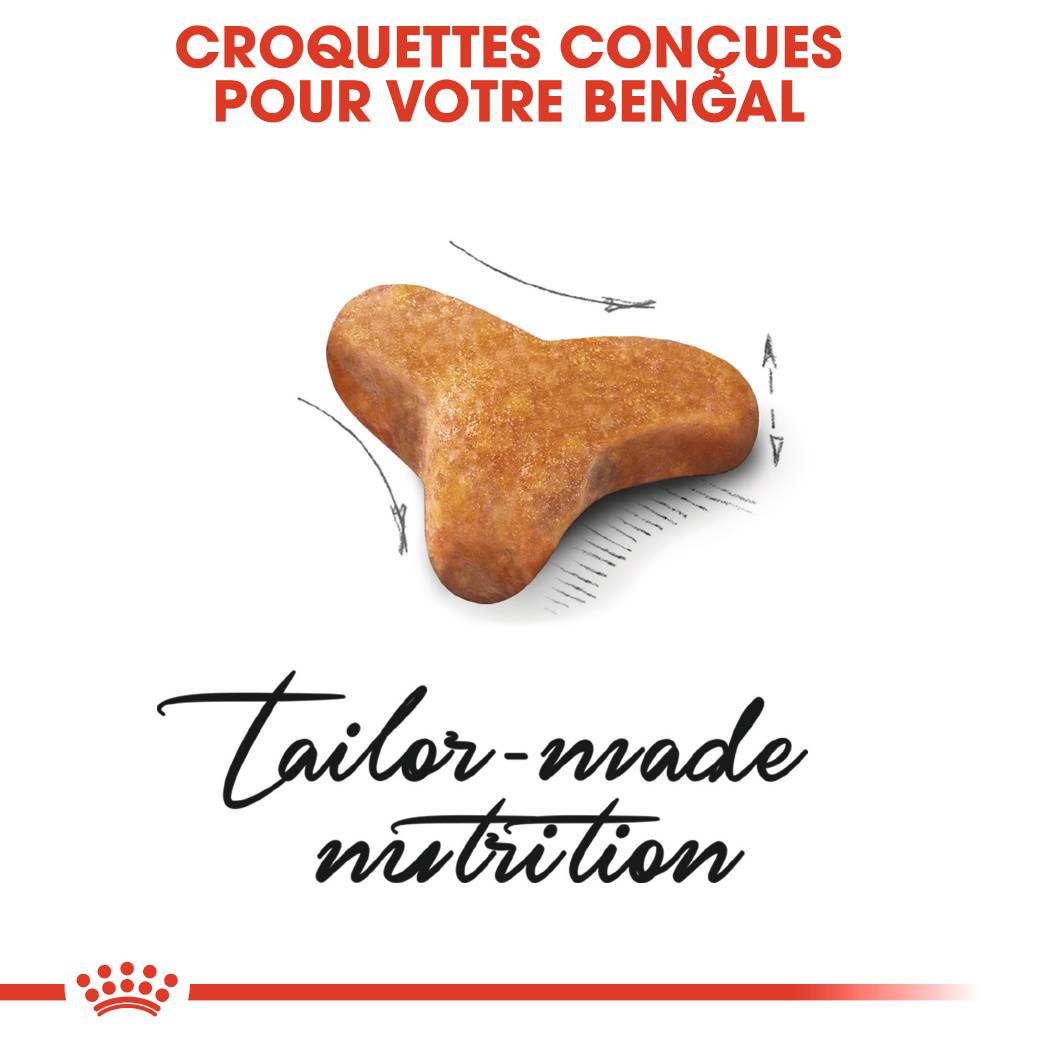 Royal Canin - Royal Canin - Croquettes pour chat adulte Bengal 10 kg - Image 2