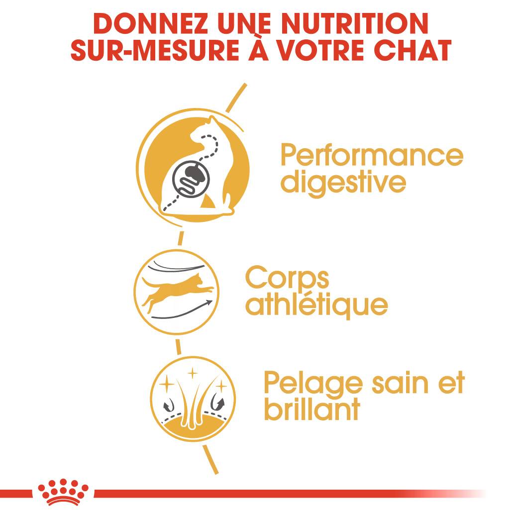 Royal Canin - Royal Canin - Croquettes pour chat adulte Bengal 10 kg - Image 4