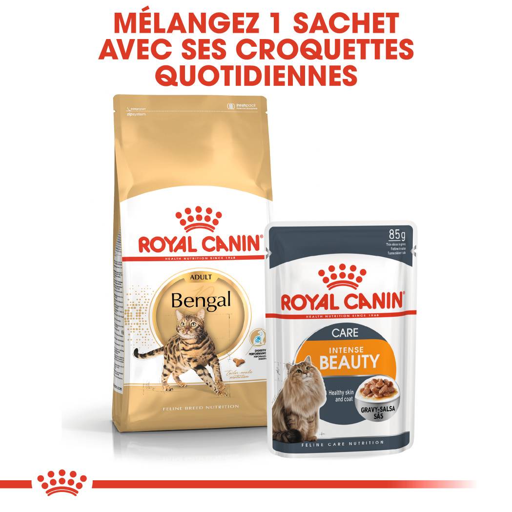 Royal Canin - Royal Canin - Croquettes pour chat adulte Bengal 10 kg - Image 5