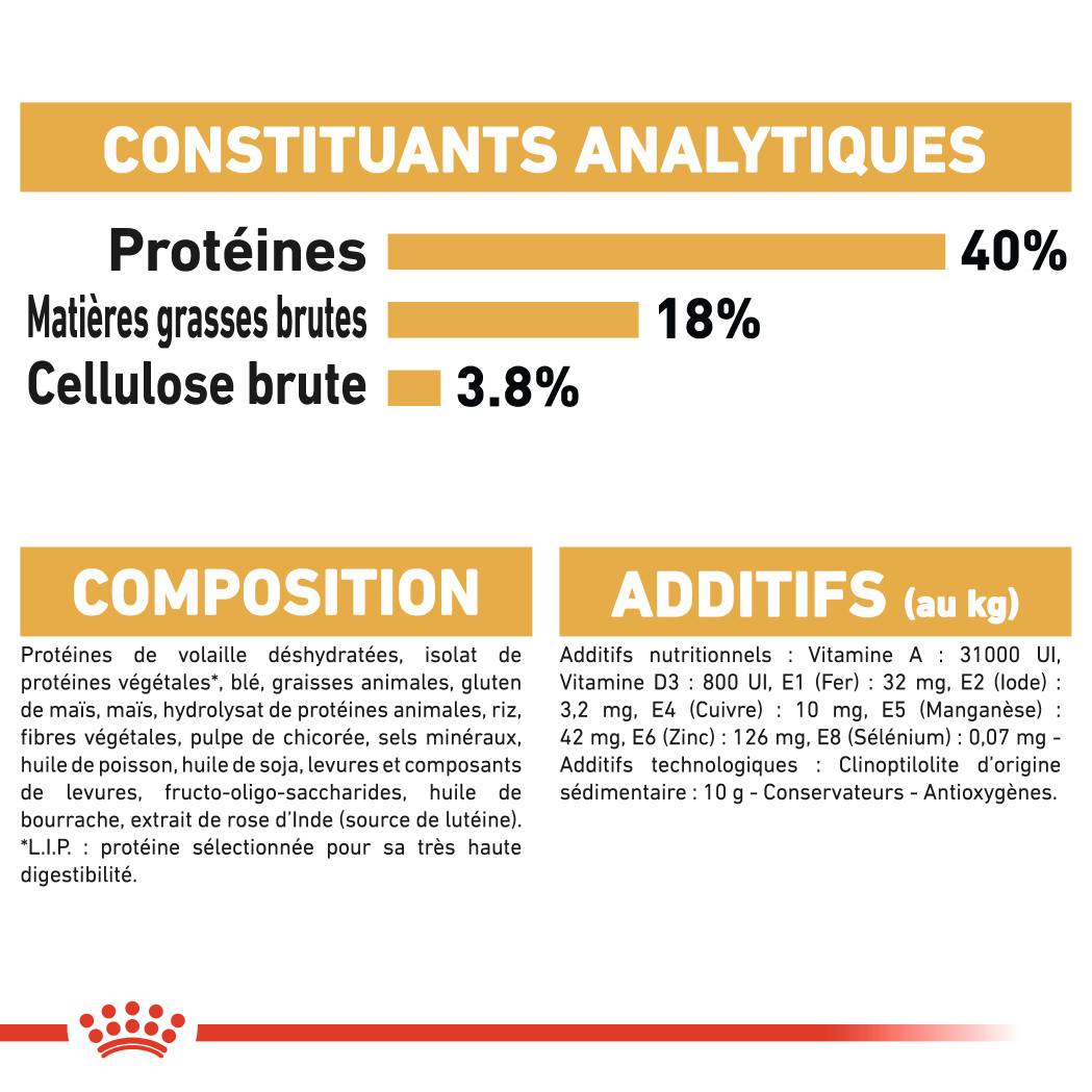 Royal Canin - Royal Canin - Croquettes pour chat adulte Bengal 10 kg - Image 6