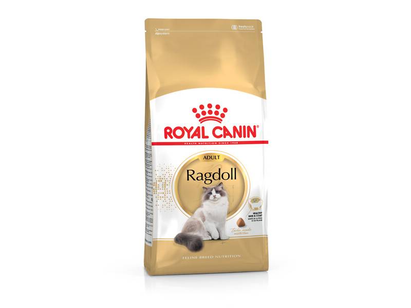 Royal Canin - Croquettes chat Ragdoll adulte 10 kg – ROYAL CANIN - Image 1