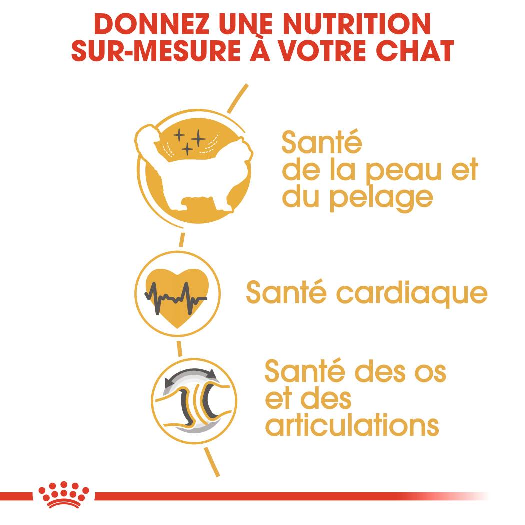 Royal Canin - Croquettes chat Ragdoll adulte 10 kg – ROYAL CANIN - Image 4
