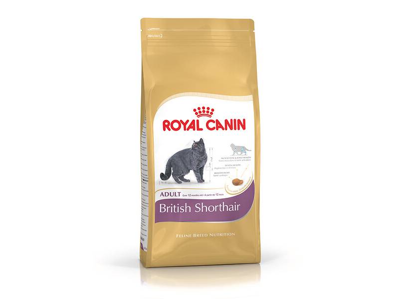 Royal Canin - Croquettes chat British Shorthair Adulte + de 12 mois 2kg – ROYAL CANIN - Image 3
