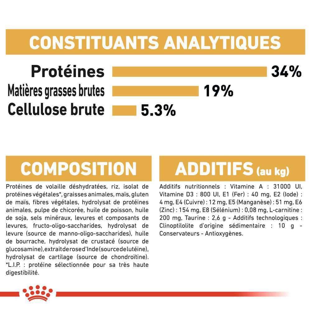 Royal Canin - Croquettes chat British Shorthair Adulte + de 12 mois 2kg – ROYAL CANIN - Image 16