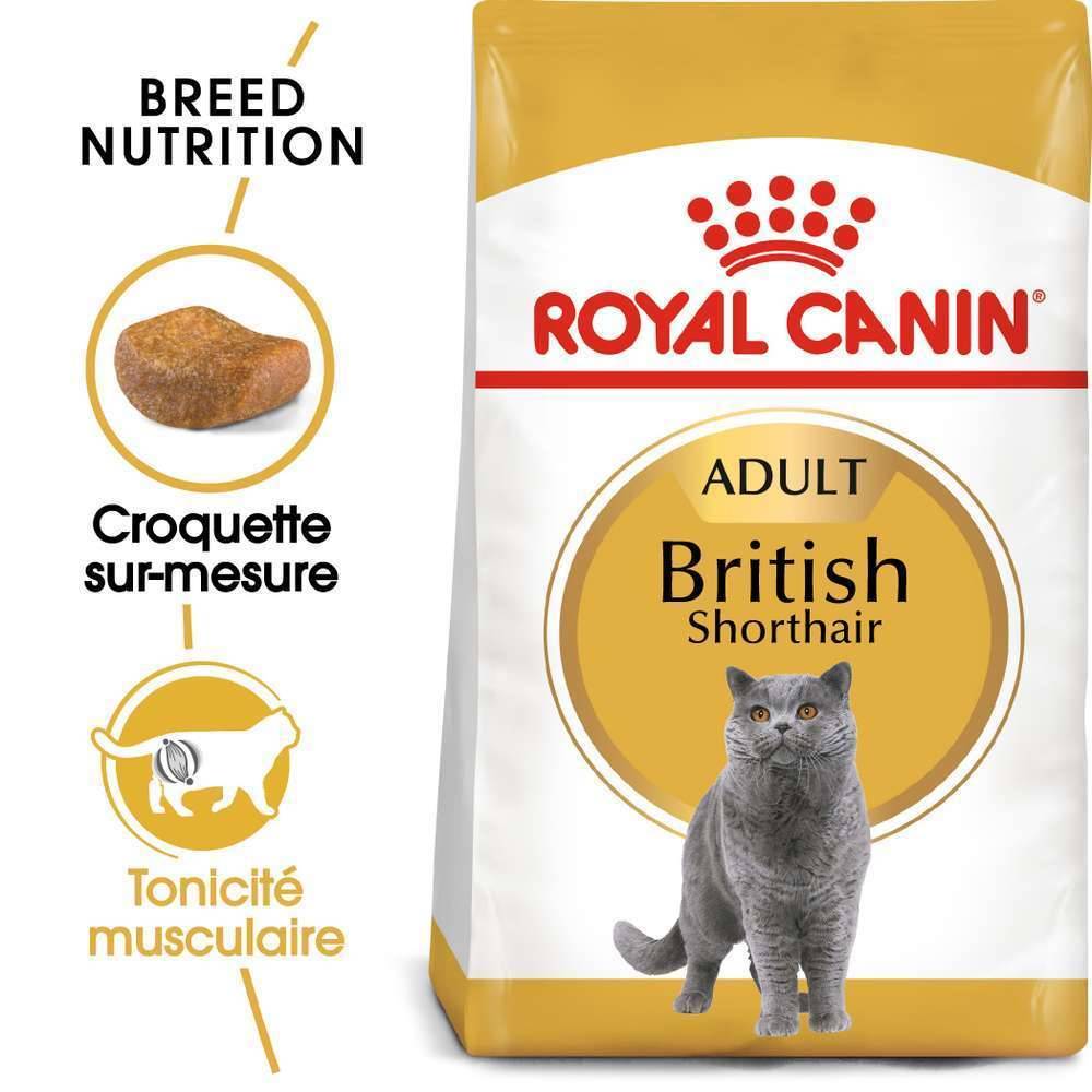 Royal Canin - Croquettes chat British Shorthair Adulte + de 12 mois 2kg – ROYAL CANIN - Image 14