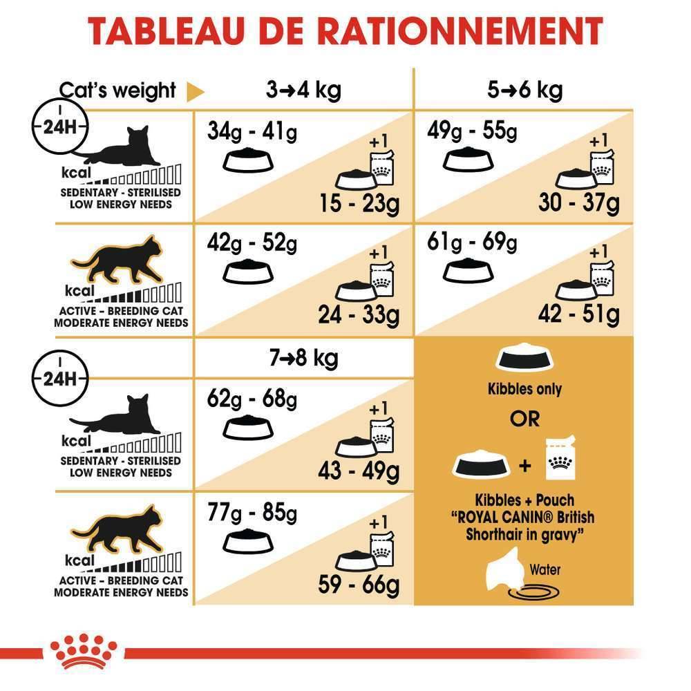 Royal Canin - Croquettes chat British Shorthair Adulte + de 12 mois 2kg – ROYAL CANIN - Image 5