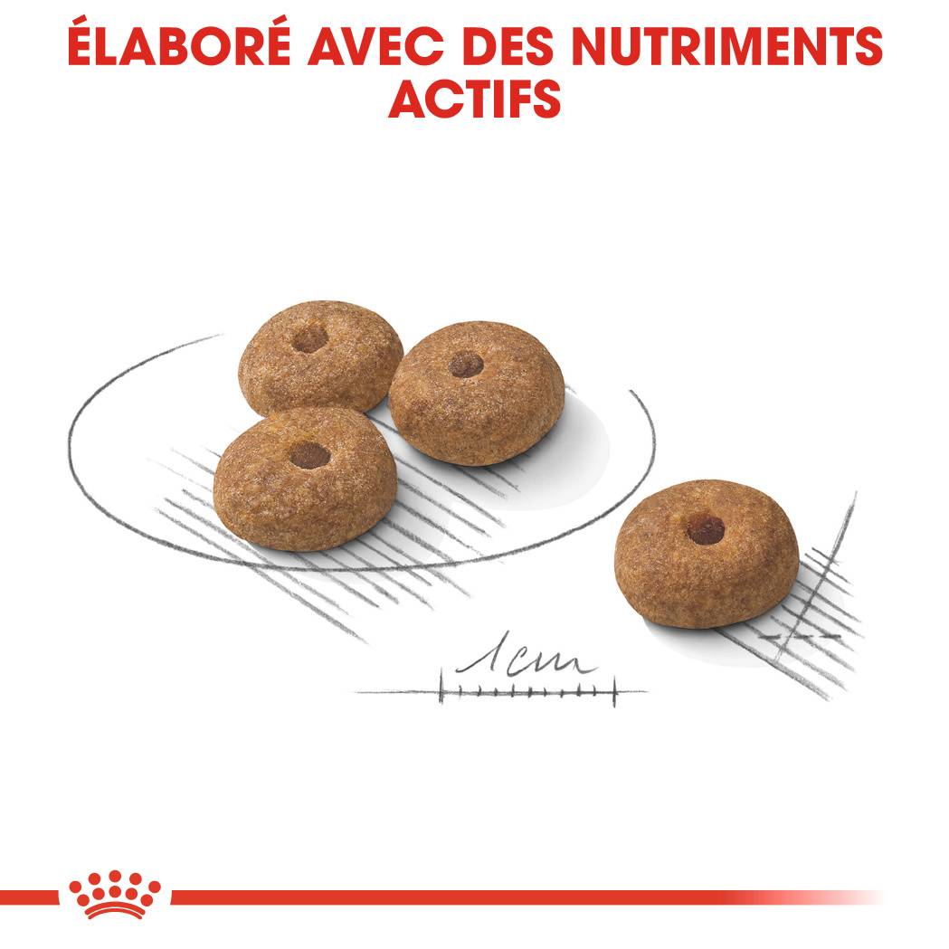 Royal Canin - Croquettes chien mini stérilised 1 kg ROYAL CANIN - Image 7