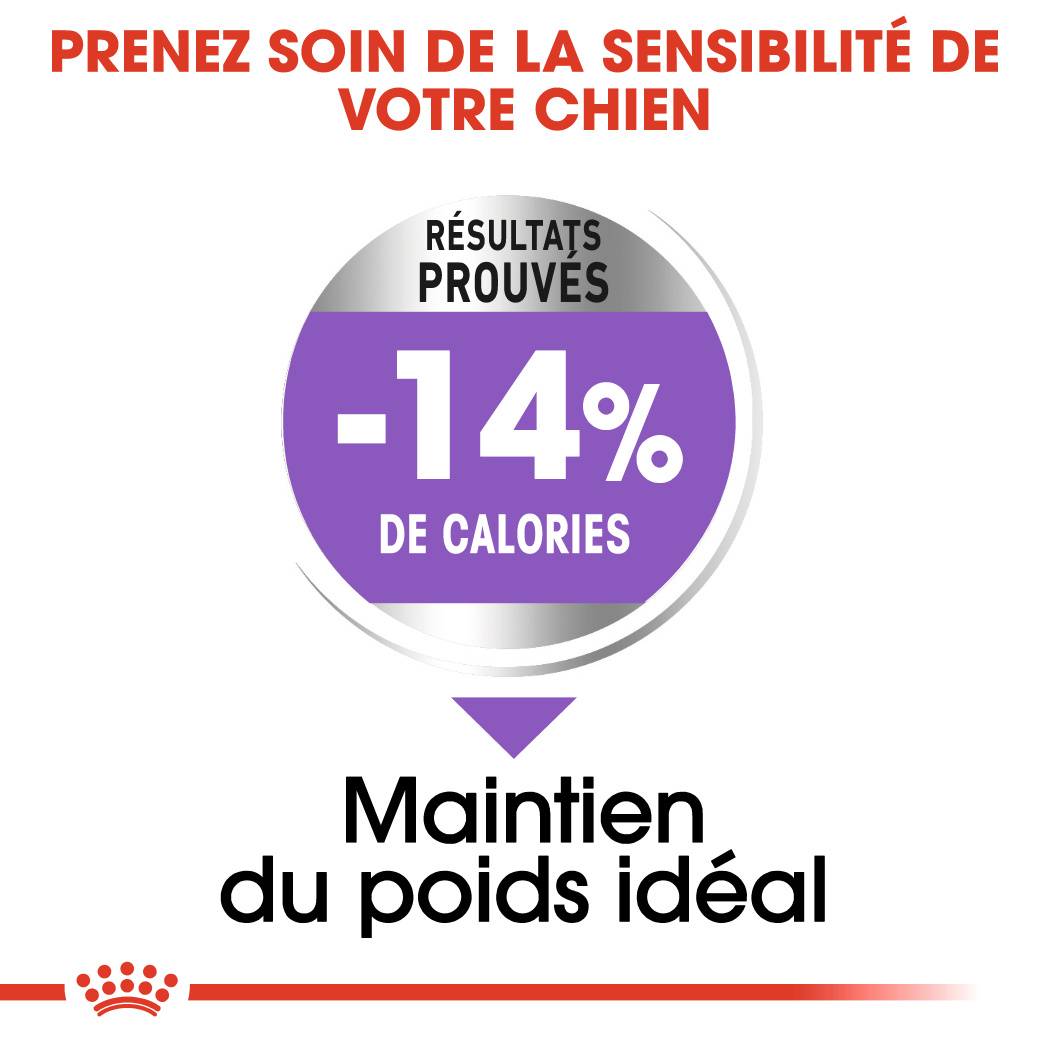 Royal Canin - Croquettes chien mini stérilised 1 kg ROYAL CANIN - Image 5