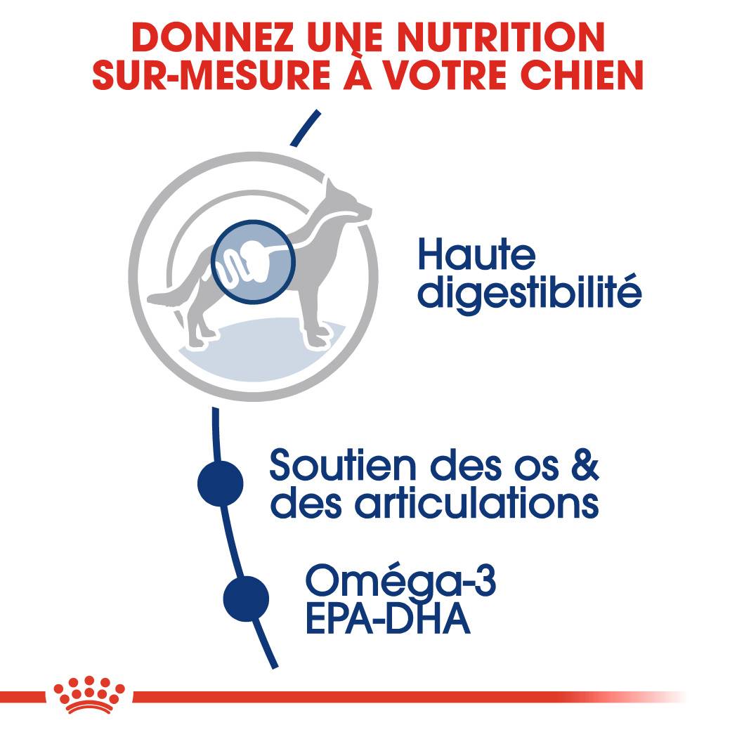 Royal Canin - Croquettes chien Maxi Adult 10 kg – ROYAL CANIN - Image 3