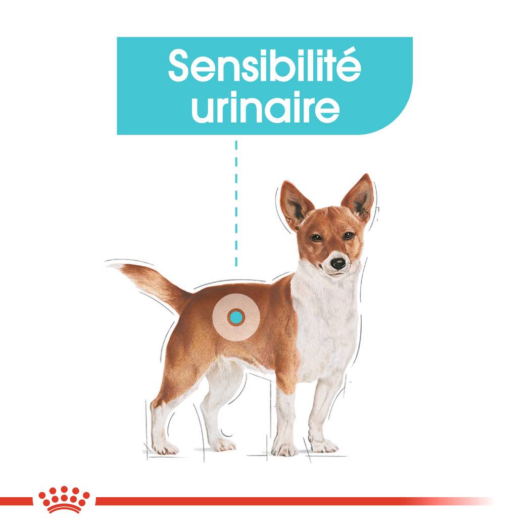 Royal Canin - Royal Canin - Croquettes pour chien Mini Urinary Care 8 kg - Image 6