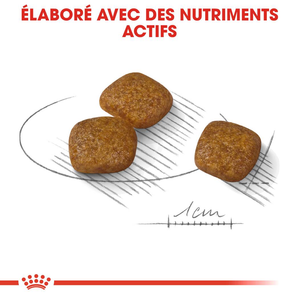 Royal Canin - Royal Canin - Croquettes pour chien Mini Urinary Care 8 kg - Image 2