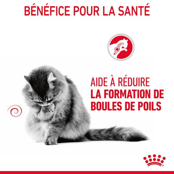 Royal Canin - Aliment chat Hairball Sauce - ROYAL CANIN - Image 9