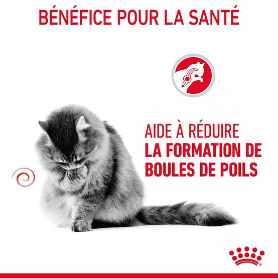 Royal Canin - Aliment chat Hairball Sauce - ROYAL CANIN - Image 12