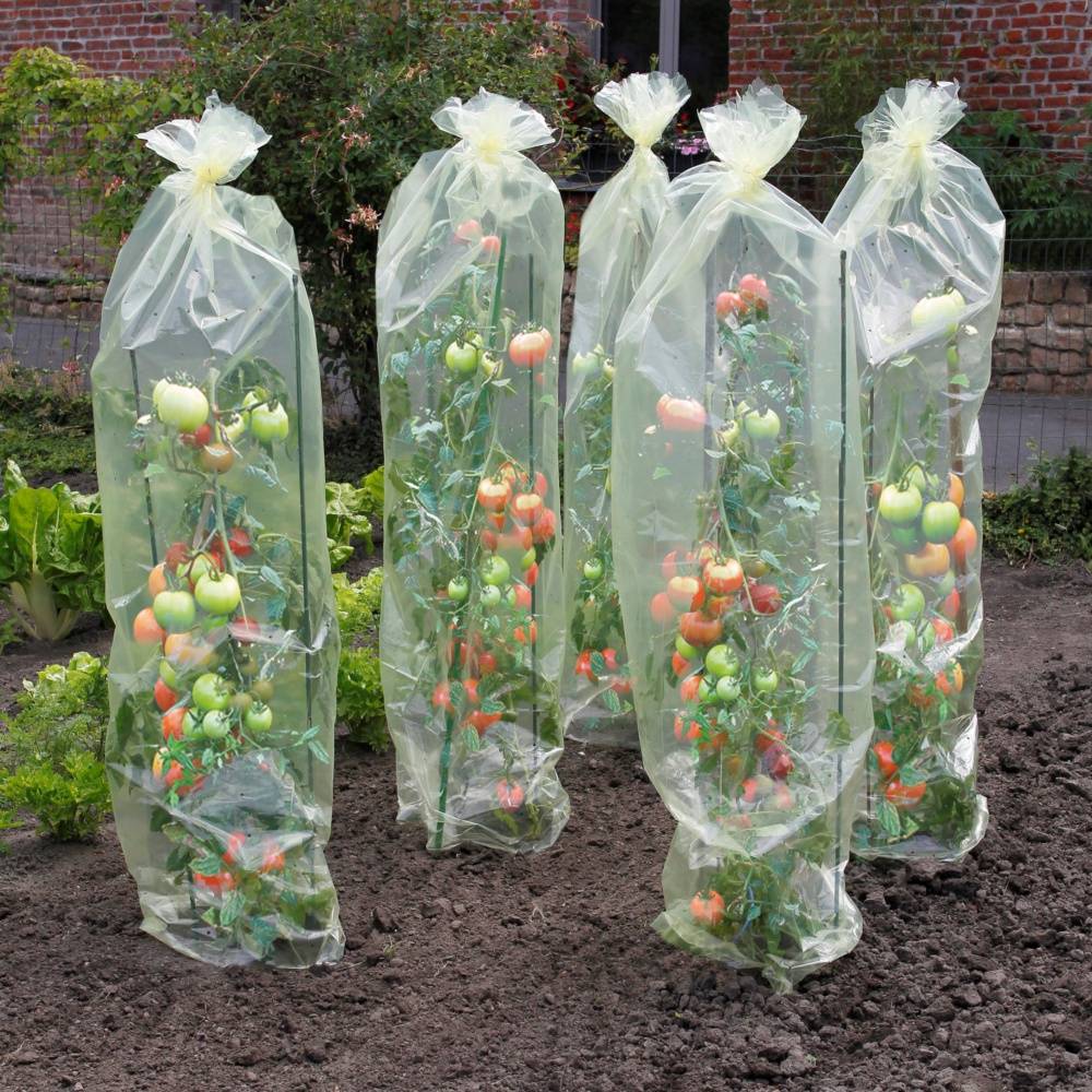 Gamm'Vert - Housse film perforée tomates 0,6x10m transparent