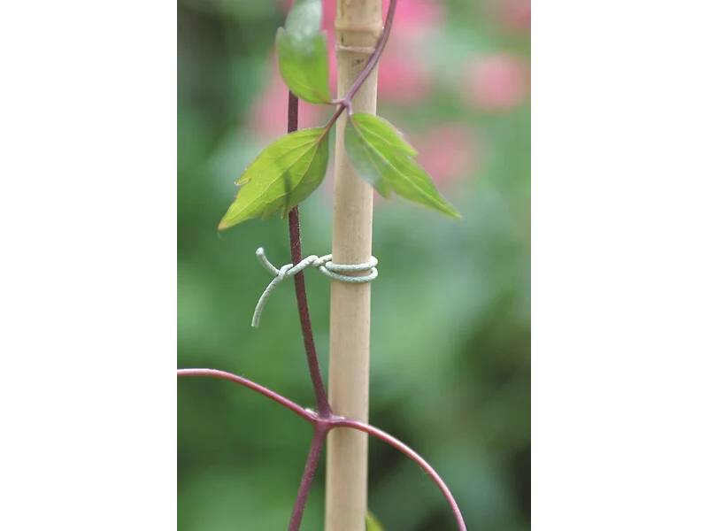 Nortène - Lien en acier plastifié Lien jardin Vert 50 m - NORTENE