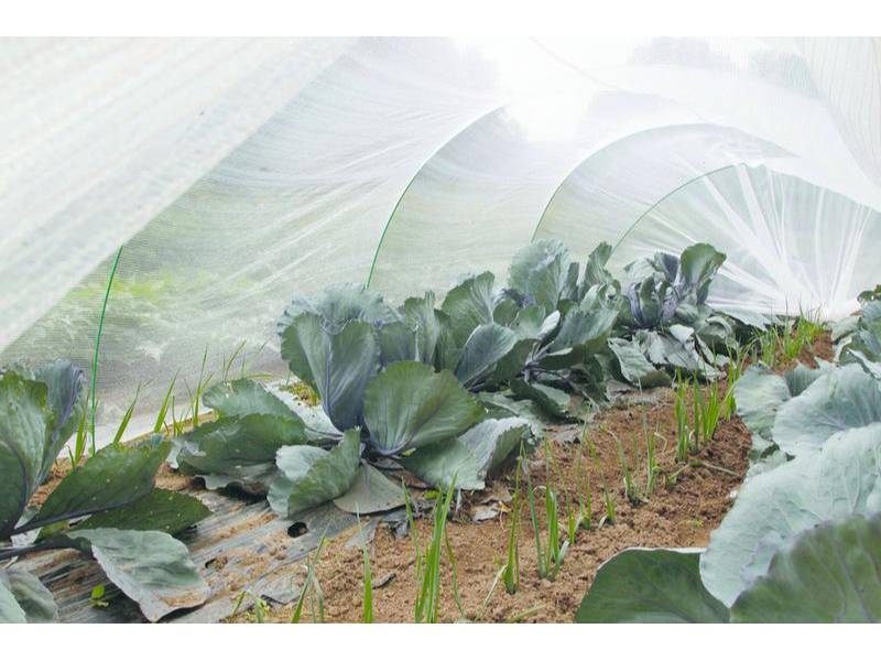 Nortène - PROTEC Filet thermique anti-insecte blanc 4x6m - Image 1