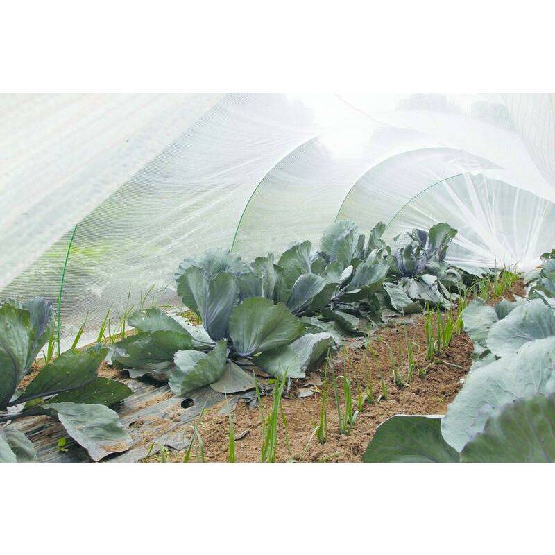 Nortène - PROTEC Filet thermique anti-insecte blanc 4x6m - Image 4