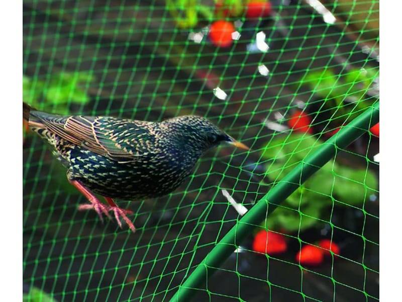 Nortène - BIRDNET  Filet de protection oiseaux PE vert 4x6m - Image 1