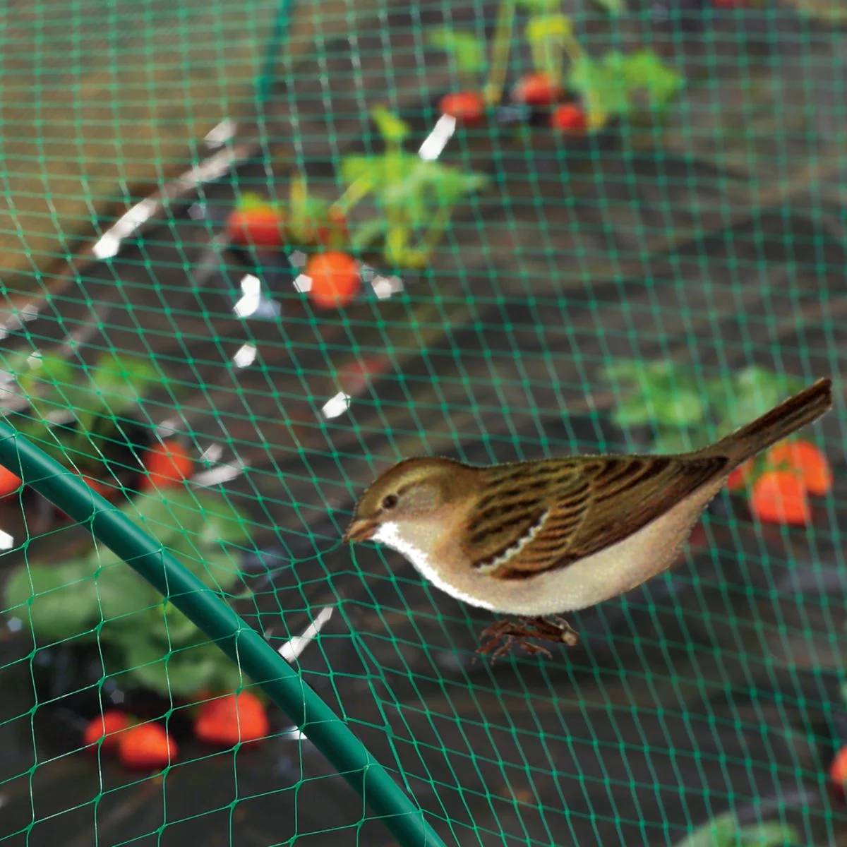 Nortène - BIRDNET  Filet de protection oiseaux PE vert 4x6m - Image 4