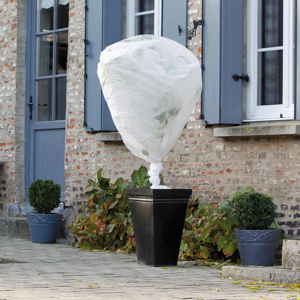 Gamm'Vert - Celloplast - Voile hivernage 1x10m - Image 2