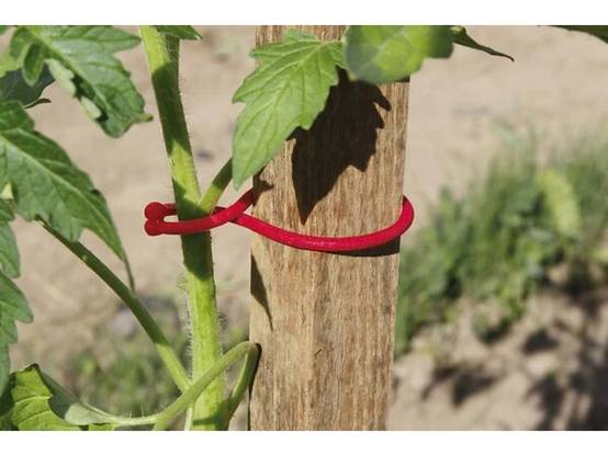 Nortene - Clips pour pieds de tomates plastique rouge 6,2 cm – NORTENE - Image 1