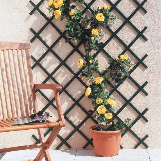 TRELLIFLEXTrellis extensible PVC Gris Ardosa 1x2m - Image 6