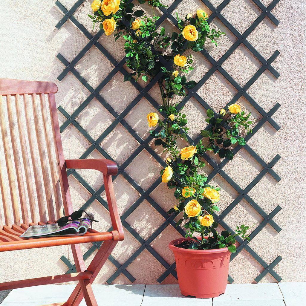 TRELLIFLEXTrellis extensible PVC Gris Ardosa 1x2m - Image 4