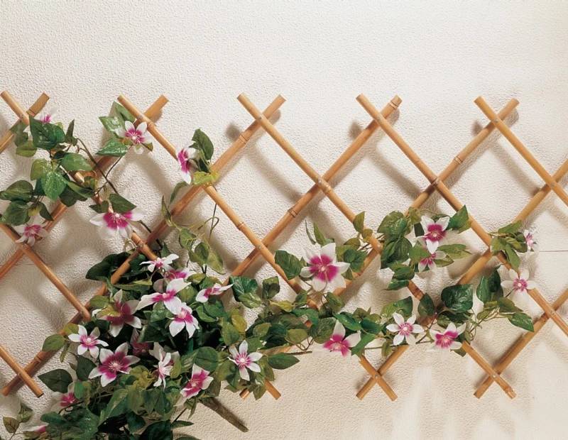 Nortène - TRELLIBAMBOO Trellis extensible bambou  1x2m - Image 2
