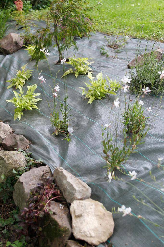 Nortène - WEEDSOL Toile de paillage vert 1,25x100m - Image 2
