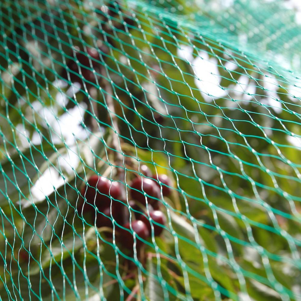 Gamm Vert - Filet Oiseaux 4 x 5m - Image 2