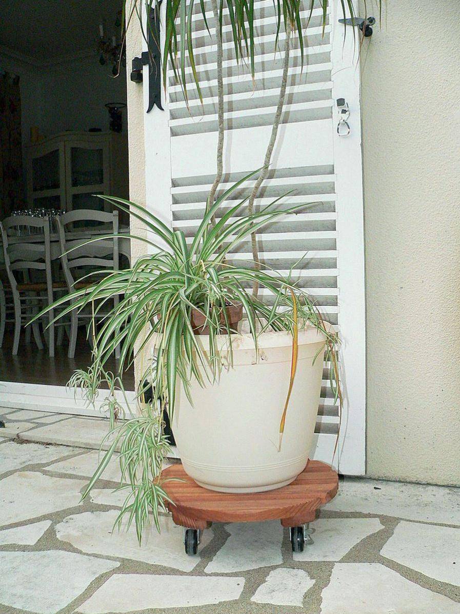 Nortene - Support à roulettes bois lasuré rond Ø 40 cm – NORTENE - Image 5