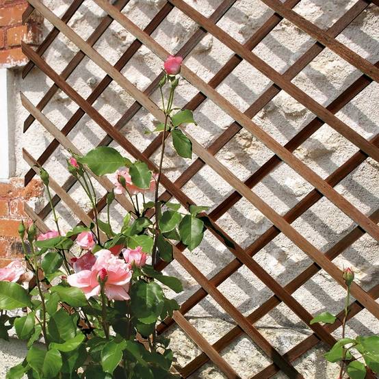 Nortène - TRELLIWOOD Trellis extensible bois FSC Marron 1x2m - Image 3