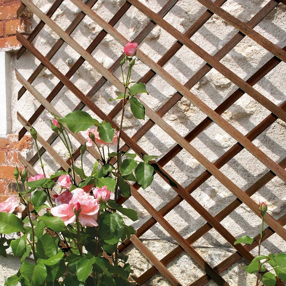 Nortène - TRELLIWOOD Trellis extensible bois FSC Marron 1x2m - Image 3