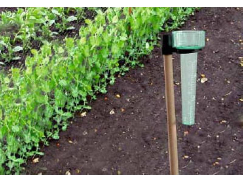 Nortene - Pluviomètre à positionner sur piquet en bois H.39 cm - Image 3