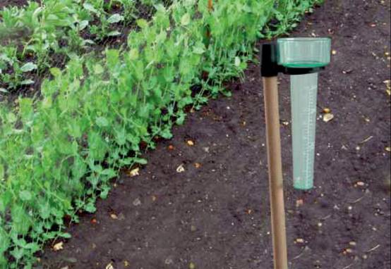Nortene - Pluviomètre à positionner sur piquet en bois H.39 cm - Image 5
