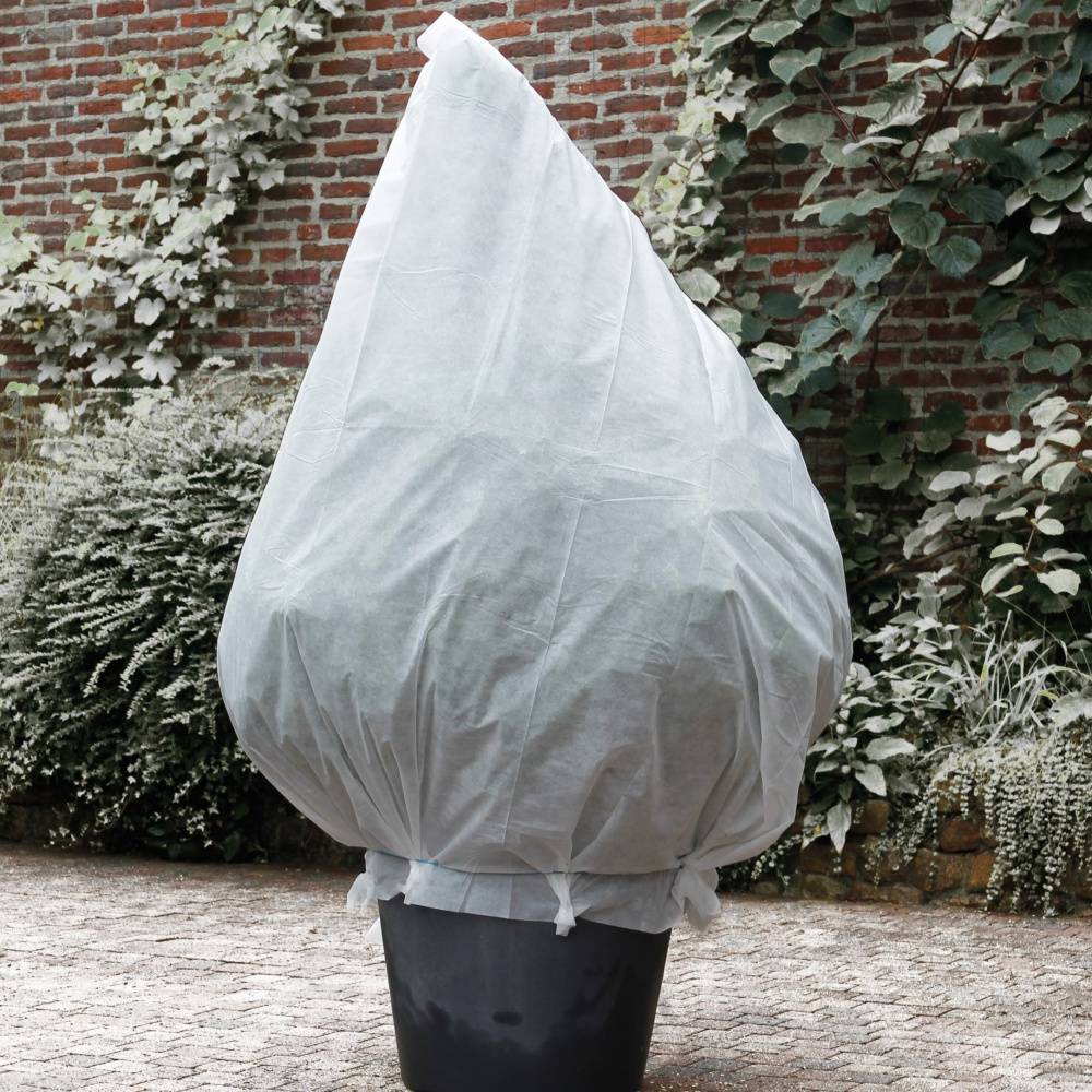 Gamm'Vert - Celloplast - Voile hivernage 2x10m - Image 2