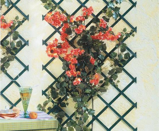 Nortène - TRELLIWOOD Trellis extensible bois FSC Naturel 1x3m - Image 4