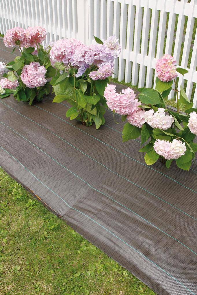 Nortène - WEEDSOL Toile de paillage  Marron 1,25x25m - Image 2