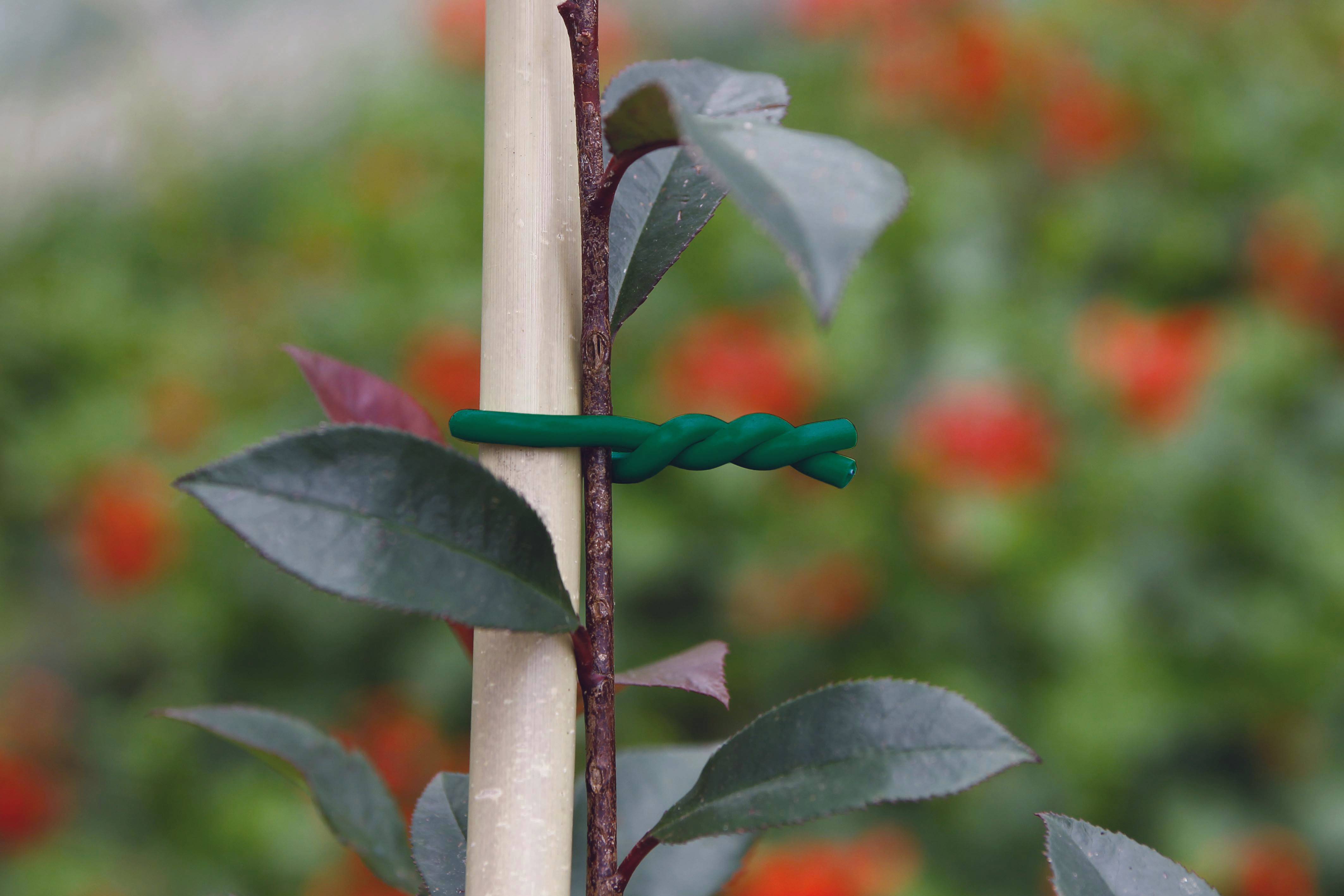 Nortène - Lien mousse fil métal pour plantes fragiles BIFLEX - NORTENE