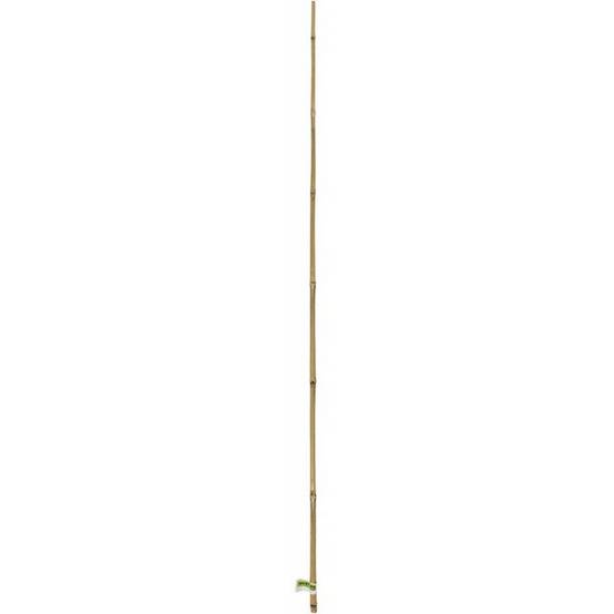Nortène - Lot de 6 tuteurs bambou naturel - NORTENE - Image 1