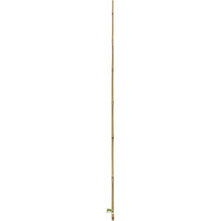 Nortène - Lot de 6 tuteurs bambou naturel - NORTENE
