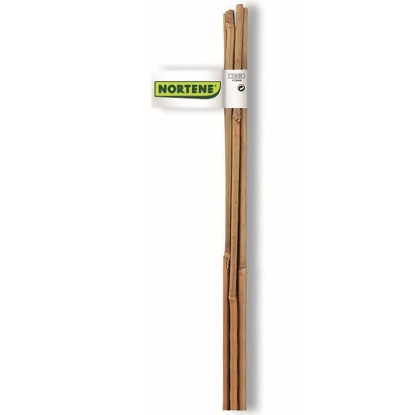 Nortène - Lot de 6 tuteurs bambou naturel - NORTENE - Image 2
