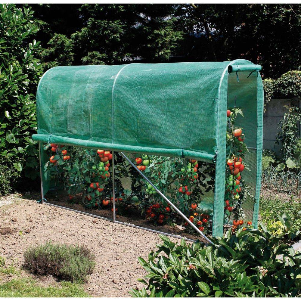 Nortène - Serre tunnel à tomates New Tomato 3 m² - Nortene - Image 2