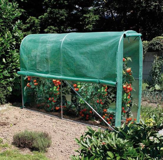 Nortène - Serre Tunnel Tomates - NORTENE - Image 8