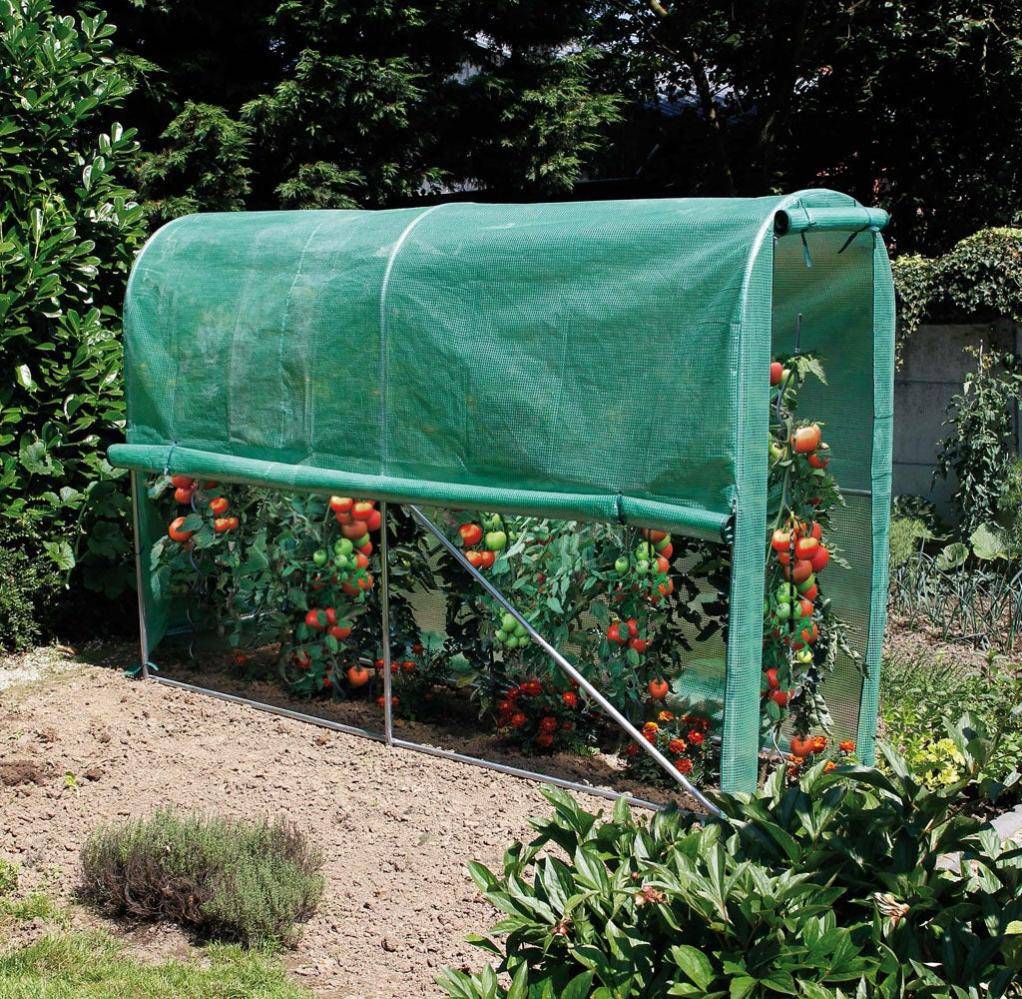 Nortène - Serre Tunnel Tomates - NORTENE - Image 8
